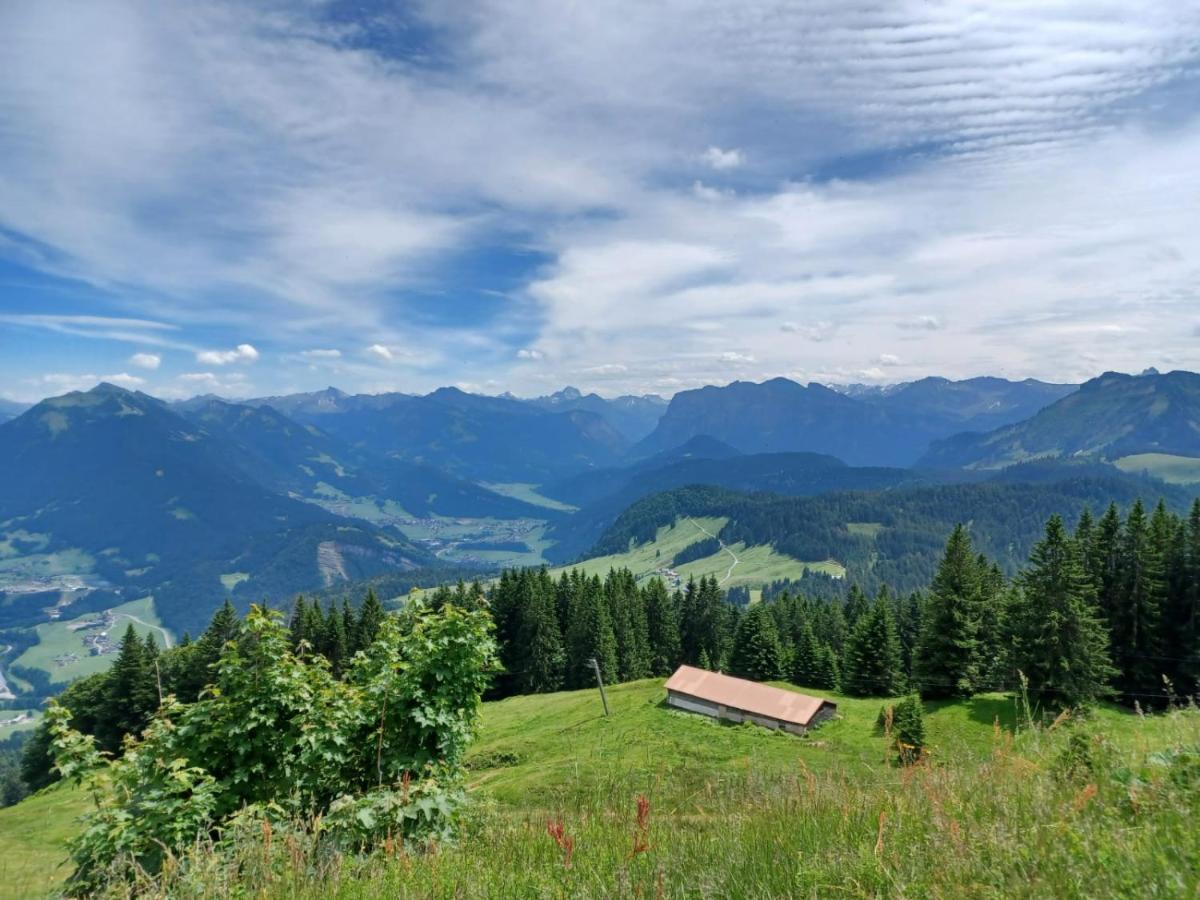 Ferienhaus Brittenberg Schwarzenberg im Bregenzerwald Luaran gambar